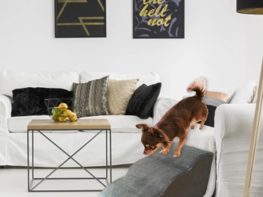  "The Ultimate Guide to Choosing Pet Friendly Flooring for Your Home"