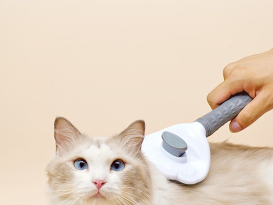 Pet Hair Carpet Rake: The Ultimate Solution for a Fluff-Free Home