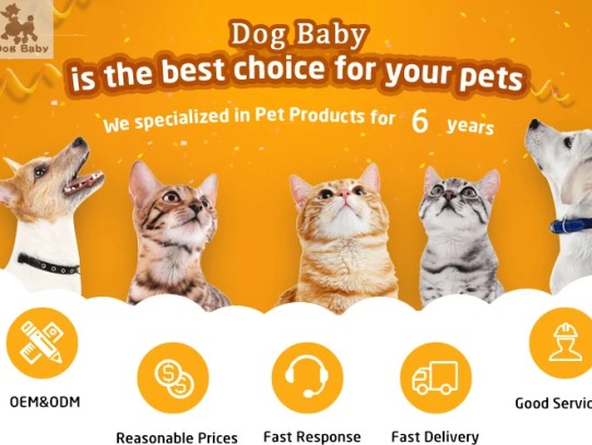 Pets Supplies Plus Coupon