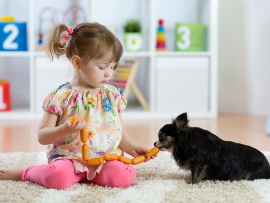  Discover the Joy of Little Pigs Pets: The Ultimate Guide to Caring for Your Adorable Miniature Pigs